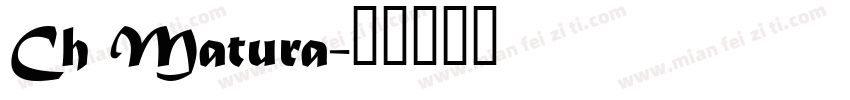 Ch Matura字体转换